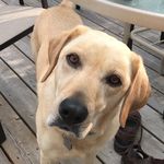 Wayne Klassen - @wayne.klassen - Instagram