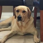 Wayne Klassen - @klassen_wayne - Instagram