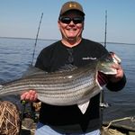 Wayne Knox - @wayneknox53 - Instagram
