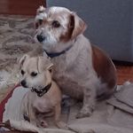 Wayne Krause - @wayne.krause.169 - Instagram