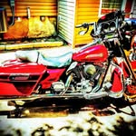Wayne Lalonde - @lalondewayne - Instagram