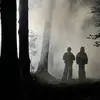 wayne.lux - @wayne.lux - TikTok