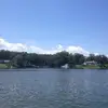waynelasky120 - @waynelasky120 - TikTok