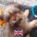Wayne Lawton - Facebook