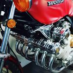 Wayne Lawton - @waynelawton2877 - Instagram