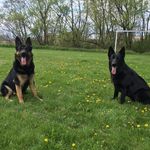 @wayneleahy2020 - Instagram
