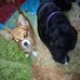 Angela Leatherman - Facebook