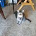 Wayne Leaver - Facebook