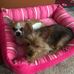 Wayne Leverknight - Facebook