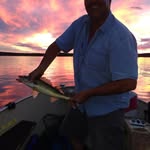 Wayne D LeBon - @waynedlebon - Instagram