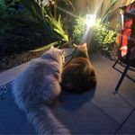 Wayne Leggott - @wayneleggott32 - Instagram