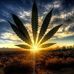 Wayne Leggett - Facebook