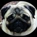 Wayne Leonhardt - Facebook