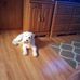 Wayne Lentz - Facebook