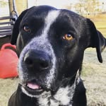 Leroy Wayne Holt - @leroywayneholt - Instagram