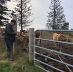 Wayne Leroy - Facebook