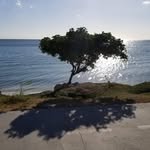 Wayne Lewis - @wayne.leroy.8113 - Instagram