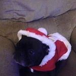 Wayne - @wayne_lesperance - Instagram
