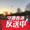 Wayne Leung - @wayneleung32 - TikTok
