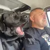 levantizwayne - @levantizwayne - TikTok