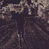 levinewayne - @levinewayne - TikTok