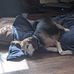 Wayne Libby - Facebook