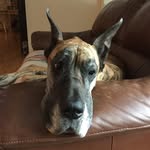 Wayne Libby - @wayne.libby88 - Instagram