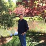 Wayne Light - @wayne.light - Instagram