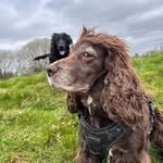 Wayne Lightfoot - @lightfoot.wayne - Instagram