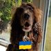 Wayne Lightfoot - Facebook