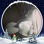 Wayne Lilley - @waynelilley27 - Instagram