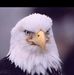 Wayne Lincoln - Facebook