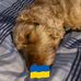 Wayne Lindholm Birch - Facebook