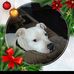 Wayne Lintz - Facebook