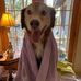 Wayne Littleton - Facebook