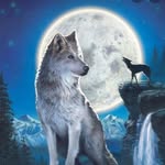 Lobo Wayne - @lobo.wayne.1 - Instagram