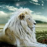 @wayne_lock1 - Instagram