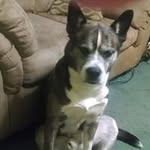 Wayne Locke - @wayne_locke - Instagram