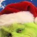 Wayne Luckner - Facebook
