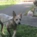 Wayne Lofton - Facebook