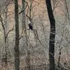Wayne_Logue - @justaguy459 - TikTok