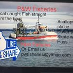 Wayne Long - @pwfisheries - Instagram