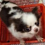 Wayne Long - Facebook