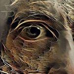 Stephen Wayne Longman - @stephenlongman - Instagram