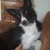 Wayne Longman - Facebook