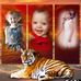 Wayne Longman - Facebook