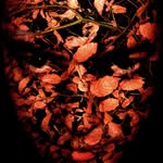Wayne Longworth - @waynelongworth1 - Instagram