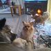 Wayne Lorenz - Facebook