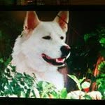 Wayne Lorenzen - @waynelorenzen - Instagram