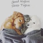 Wayne Lodder - @wayne.lotter.54 - Instagram